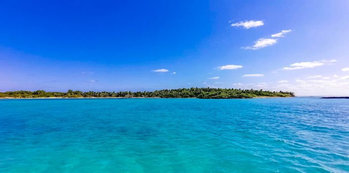 Amazing landscape panorama view with turquoise blue water palm trees blue sky and the natural tropical beach and the forest on the beautiful island of Contoy in Quintana Roo Mexico.