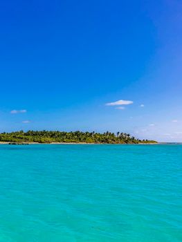 Amazing landscape panorama view with turquoise blue water palm trees blue sky and the natural tropical beach and the forest on the beautiful island of Contoy in Quintana Roo Mexico.