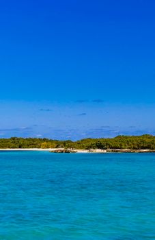 Amazing landscape panorama view with turquoise blue water palm trees blue sky and the natural tropical beach and the forest on the beautiful island of Contoy in Quintana Roo Mexico.