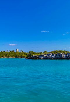 Amazing landscape panorama view with turquoise blue water palm trees blue sky and the natural tropical beach and the forest on the beautiful island of Contoy in Quintana Roo Mexico.