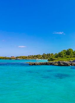 Amazing landscape panorama view with turquoise blue water palm trees blue sky and the natural tropical beach and the forest on the beautiful island of Contoy in Quintana Roo Mexico.