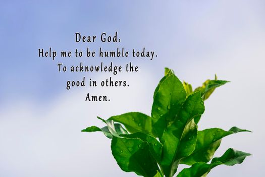 Dear God, help me to be humble today. To acknowledge the good in others. Amen. With green leaves against clear blue sky background.