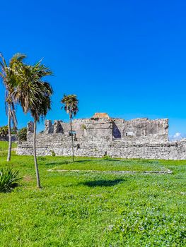 Ancient Tulum ruins Mayan site with temple ruins pyramids and artifacts in the tropical natural jungle forest palm and seascape panorama view in Tulum Mexico.