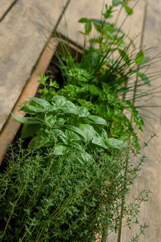 Various herbs on a wooden table