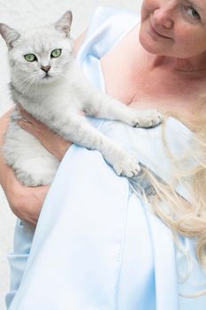 the hostess hugs a cute gray kitten with green eyes of the Scottish breed against the background of pink peonies and a blue dress of the bride. High quality photo
