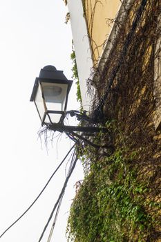 Antique lantern on the wall of the building twined with green ivy and wires