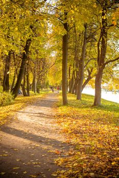 Beautiful romantic alley in a park with colorful trees and sunlight. autumn natural background