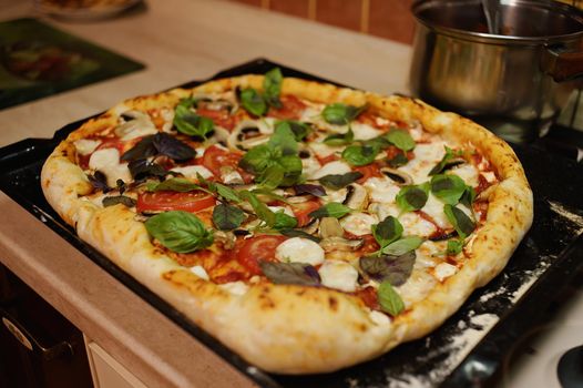 Top view. Freshly baked Italian pizza with mozzarella cheese and fresh leaves of basil, on baking sheet just taken out of oven on a kitchen worktop