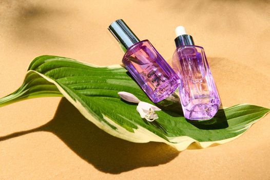 Minimalist still life. Close-up. Rejuvenating, nourishing face and under-eye serum in light purple glass bottles on a leaf of lily of the valley flower against a golden sand background. Copy ad space