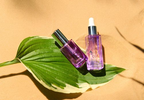 Light purple bottles with dropper of anti-aging, rejuvenating and nourishing skin care liquid cosmetic product on green leaf against sandy background. Minimalistic Beauty art still life. Copy ad space