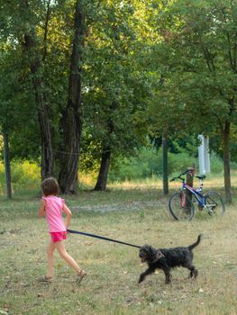 little girl walking the dog in a park