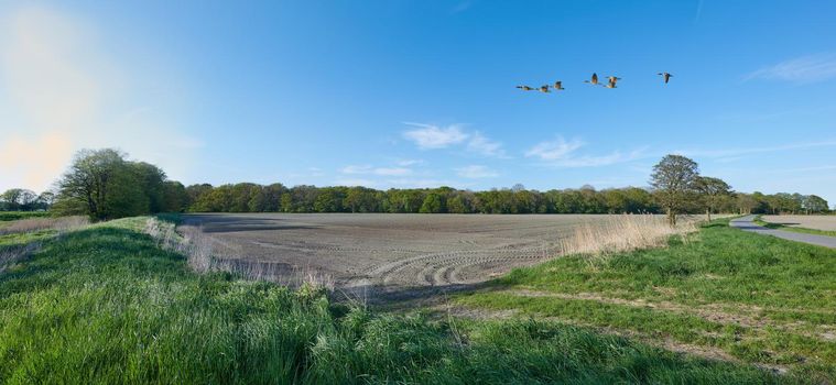 Green fields and blue skies. Green fields and blue sky in spring and early summer