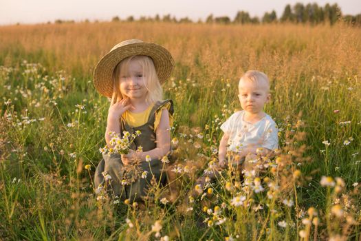 A little boy and a girl are picking flowers in a chamomile field. The concept of walking in nature, freedom and a healthy lifestyle.