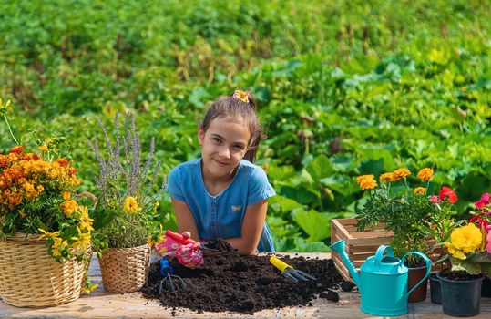 The child is planting flowers in the garden. Selective focus. Kid.