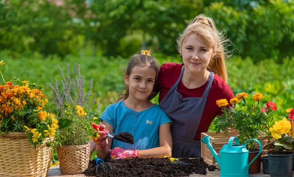 A child with her mother is planting flowers in the garden. Selective focus. Kid.