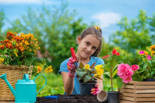 The child is planting flowers in the garden. Selective focus. Kid.