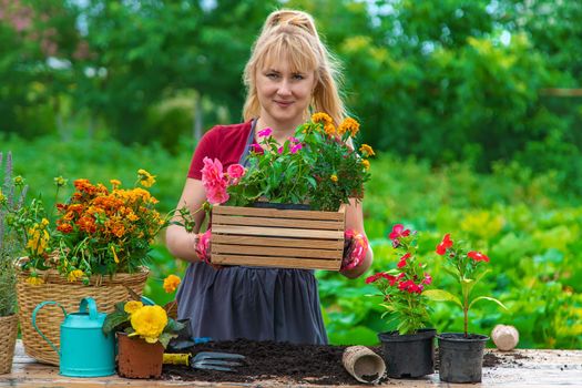 A woman is planting flowers in the garden. Selective focus. People.