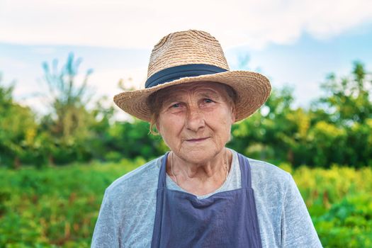 Portrait of a grandmother in the garden. selective focus. People.