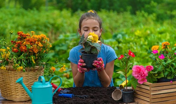 The child is planting flowers in the garden. Selective focus. Kid.