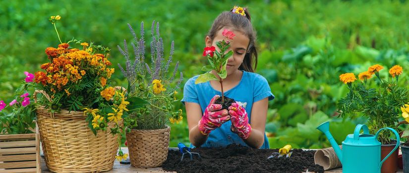 The child is planting flowers in the garden. Selective focus. Kid.