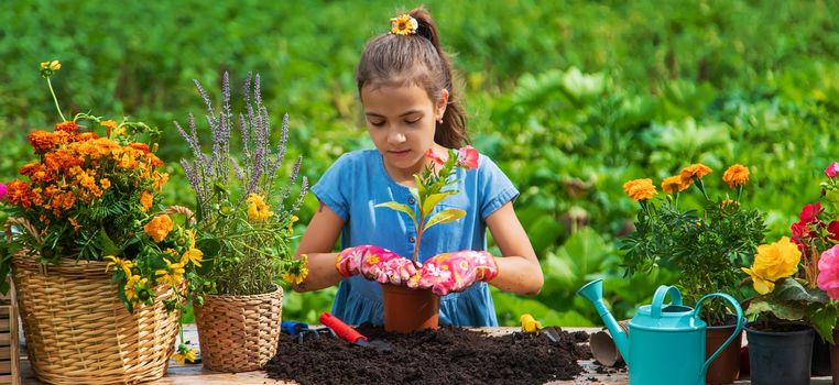 The child is planting flowers in the garden. Selective focus. Kid.