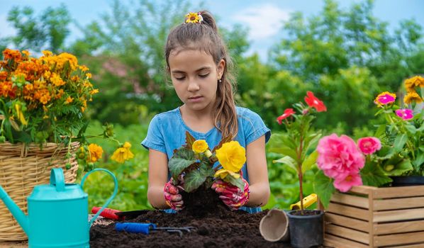 The child is planting flowers in the garden. Selective focus. Kid.