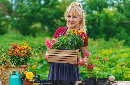 A woman is planting flowers in the garden. Selective focus. People.