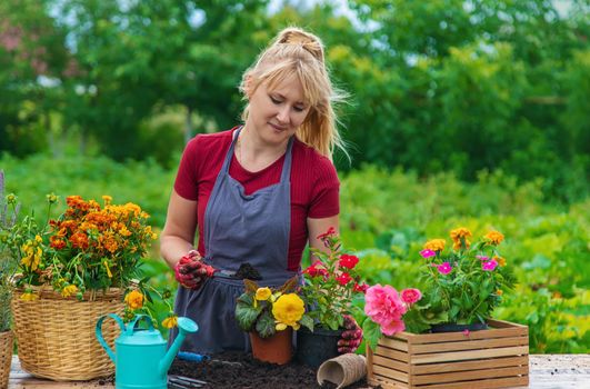 A woman is planting flowers in the garden. Selective focus. People.