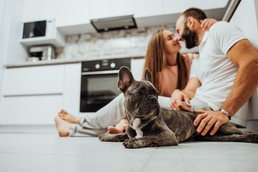 French Bulldog Laying on the Floor at Kitchen, Happy Dog's Owners Man and Woman Kissing on Background at Home