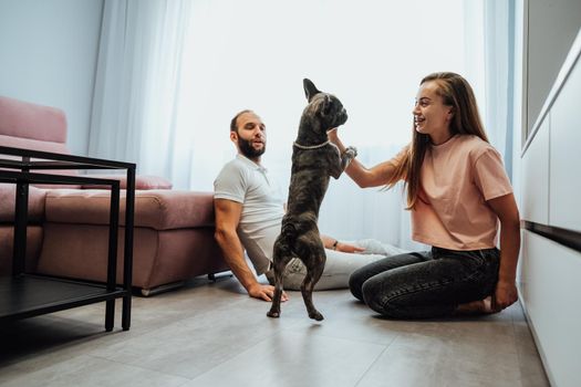 Cheerful Woman and Man Having Fun Time with Their Pet French Bulldog at Home