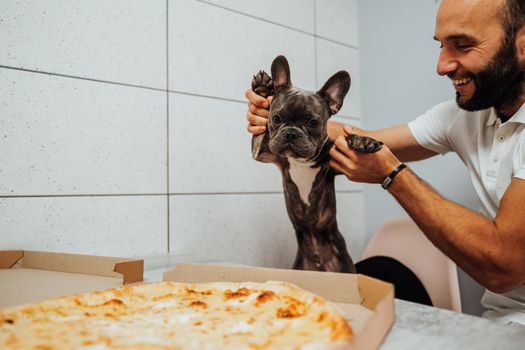 Cheerful Man Holding French Bulldog by Paws in Front of Pizza on Kitchen Desk, Small Dog Impatiently Waiting for Human Food