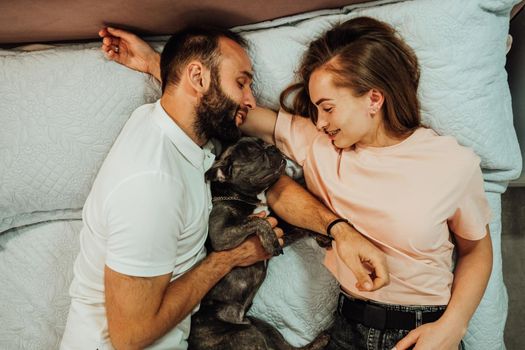 Happy Couple Man and Woman Laying on Bed with Their Dog, French Bulldog Sweetly Sleeping with Humans