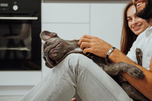 French Bulldog Relaxing in the Hands of the Owner, Young Family with Pet Spending Time Together in Kitchen