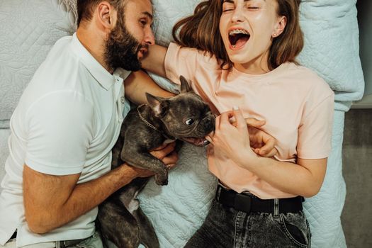 French Bulldog Bite Woman's Finger While They Laying on Bed with Man