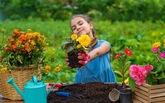 The child is planting flowers in the garden. Selective focus. Kid.