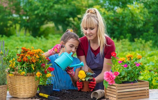 A child with her mother is planting flowers in the garden. Selective focus. Kid.