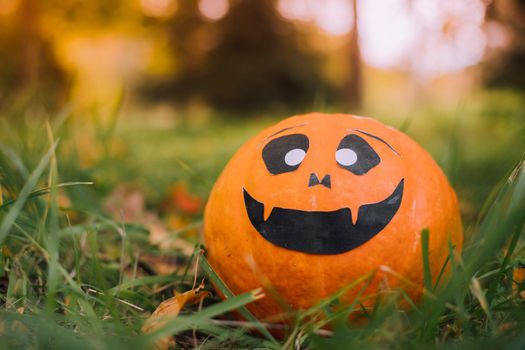 Jackie's Halloween pumpkin is lying on the grass . An article about Halloween. An orange pumpkin with a face. Details of the holiday. Halloween