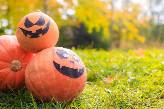 Jackie's Halloween pumpkin is lying on the grass . An article about Halloween. An orange pumpkin with a face. Details of the holiday. Halloween