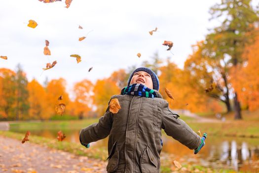 The boy throws autumn leaves . Autumn article. A happy child. Autumn. Fallen leaves