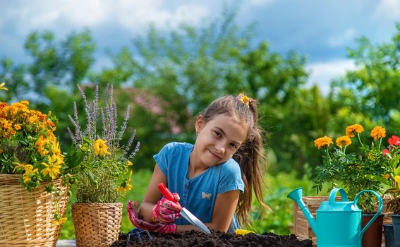 The child is planting flowers in the garden. Selective focus. Kid.