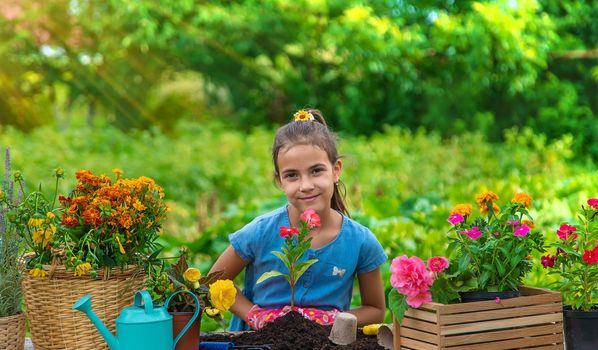 The child is planting flowers in the garden. Selective focus. Kid.