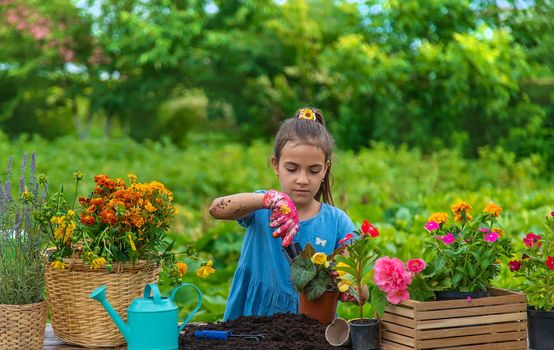 The child is planting flowers in the garden. Selective focus. Kid.