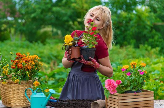 A woman is planting flowers in the garden. Selective focus. People.