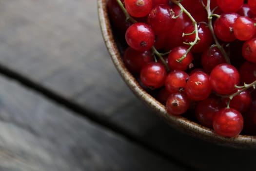 Ripe red currant in a cup on old vintage background