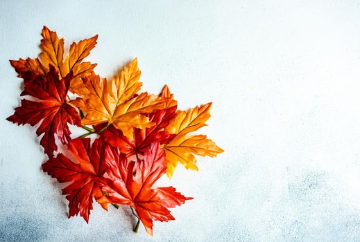 Bright red and yellow fake maple leaves on the concrete background