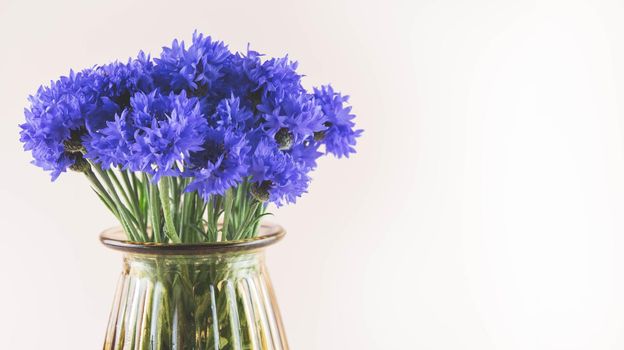 Bouquet of bright blue flowers. Bouquet of wildflowers on a white background.