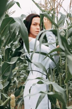 A brunette girl in a white dress in a cornfield. The concept of harvesting.