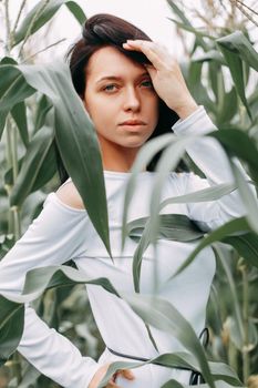 A brunette girl in a white dress in a cornfield. The concept of harvesting.