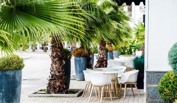 Street cafe with white chairs, green foliage around. Without people, tourism, travel