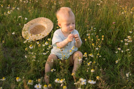 A little blond boy in a straw hat is sitting in the grass in a chamomile field. The concept of walking in nature, freedom and an environmentally friendly lifestyle.